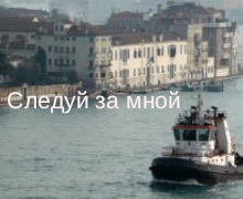 autofollow_an